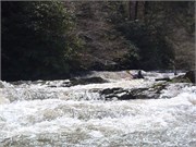 Spring Creek 50